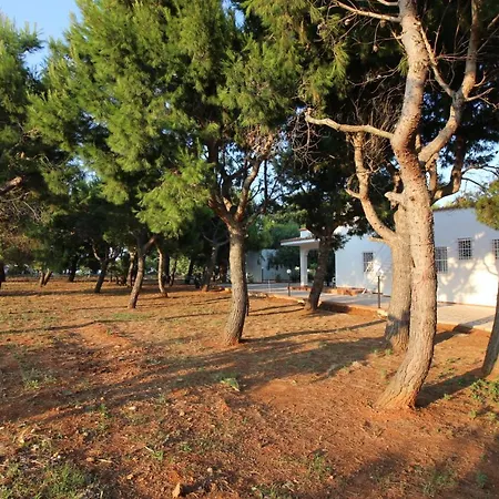 Coppola דירה